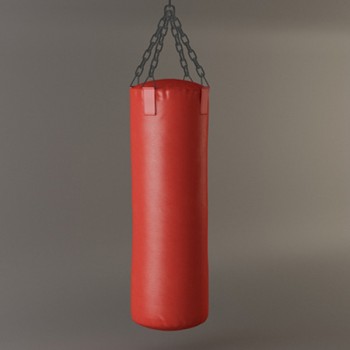 Punch Bag