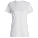 Fine Quality T-Shirts Tops all GSM & Designs on Order