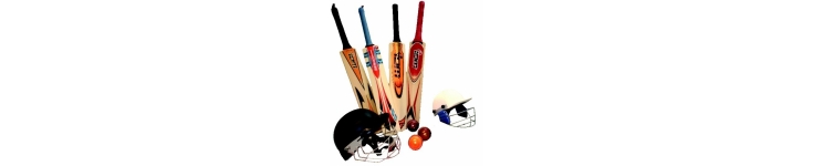 Cricket